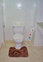 Walk-in Shower and toilet in Pattaya city flat for rent.